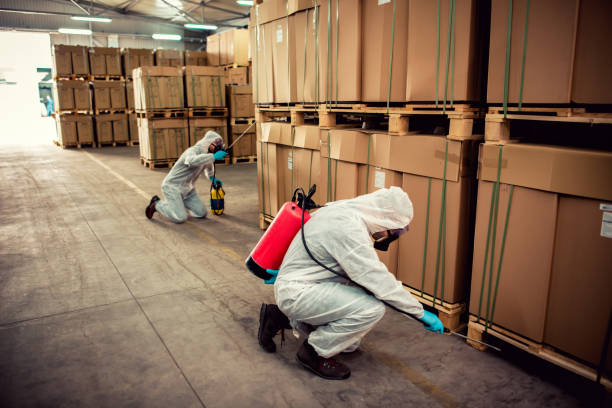 Best Wasp Removal Services  in Morristown, IN