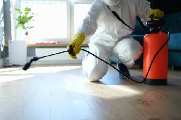 Best Pest Removal Services  in Morristown, IN