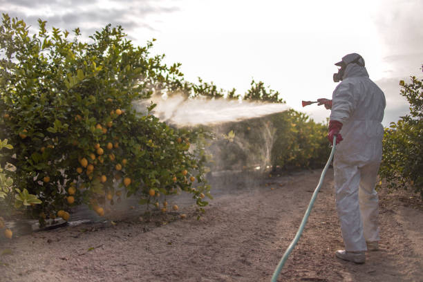 Best Pest Control Near Me  in Morristown, IN